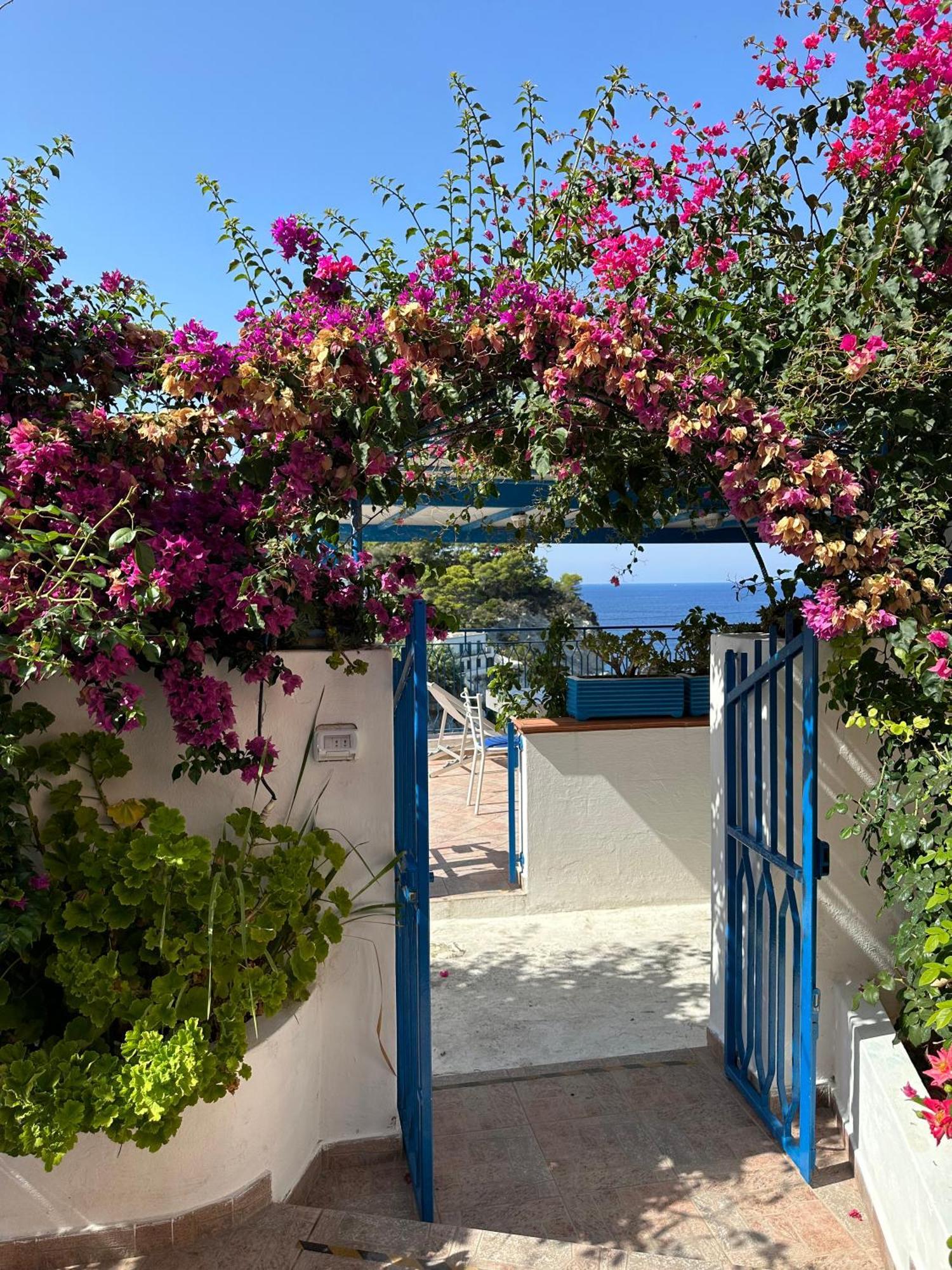Casa Talento Villa Ponza Eksteriør bilde
